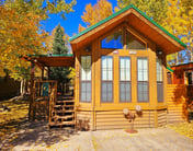 Melancholy Moose Cabin 98