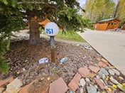 Club Site 251