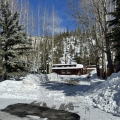 Club Site 296