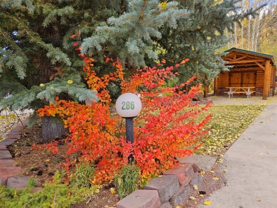 Club Site 286 - Image 1