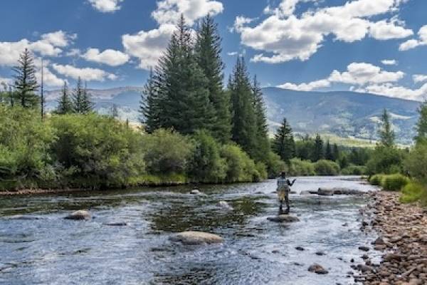 fly fishing in the blue river in colorado